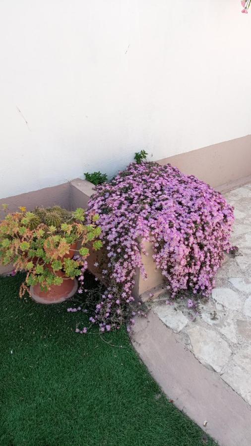 Dolce Vita Bitonto Ngoại thất bức ảnh
